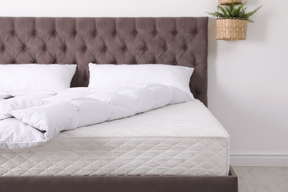 8 Best Mattress Brands for Chronic Back-pain Relief